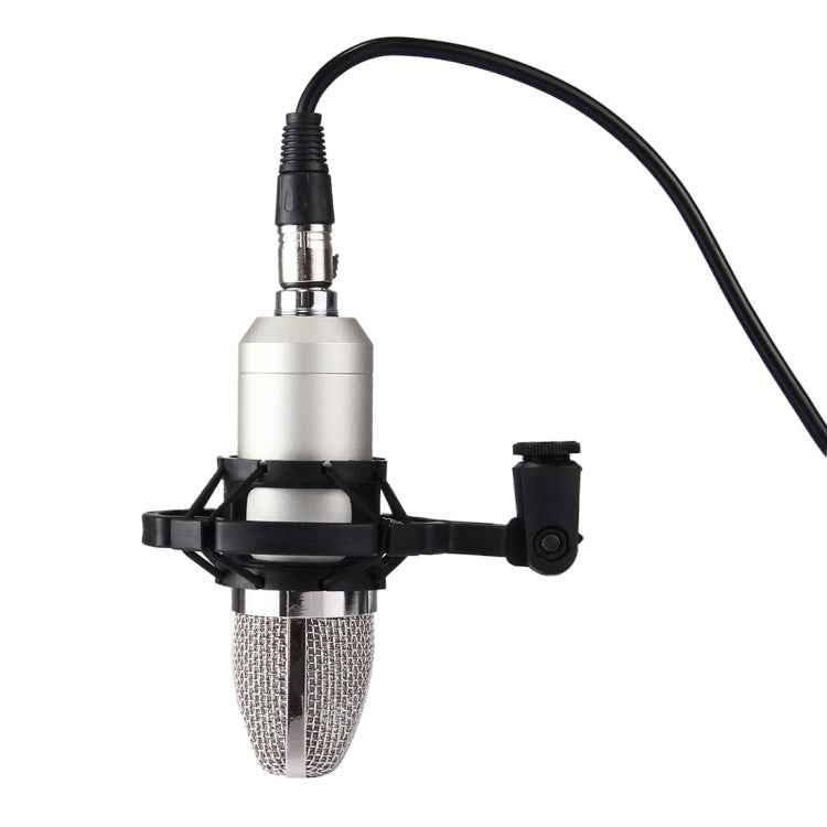 FIFINE F-700 Professional Condenser Sound Recording Microphone with Shock Mount for Studio Radio Broadcasting & Live Boardcast, 3.5mm Earphone Port, Cable Length: 2.5m
