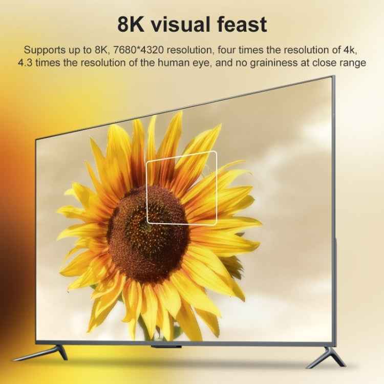 Display Port Female to Display Port Male Adapter