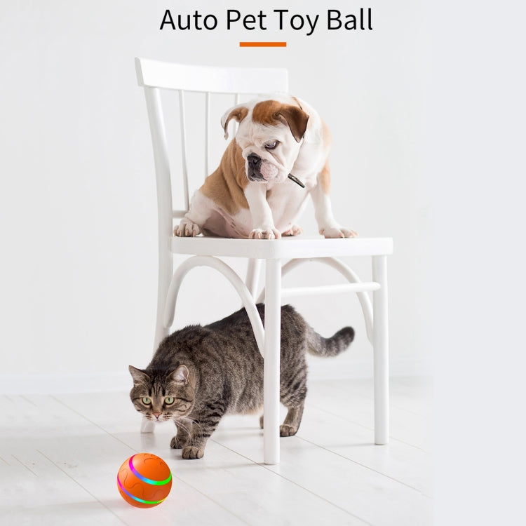 O1 Intelligent Remote Control Pet Toy Dog Training Luminous Ball, Remote Control, 8cm Remote Control