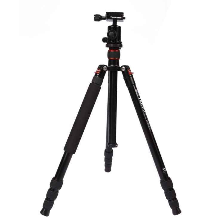 Triopo MT-2504C Adjustable Portable Aluminum Tripod with NB-1S Ball Head for Canon Nikon Sony DSLR Camera