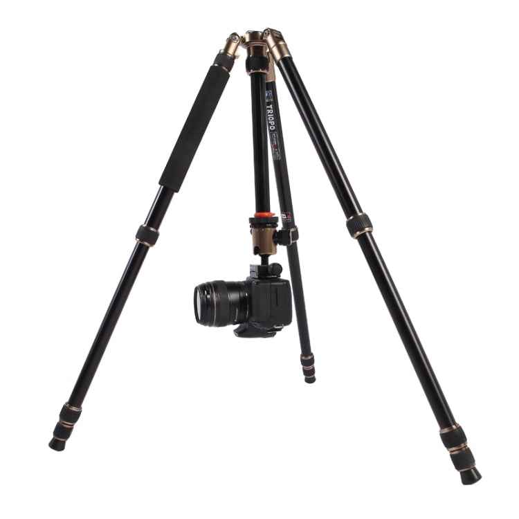 Triopo MT-2504C Adjustable Portable Aluminum Tripod with NB-1S Ball Head for Canon Nikon Sony DSLR Camera