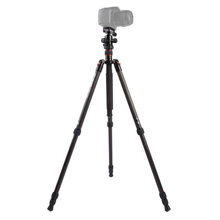Triopo GT-2504X8.C Adjustable Portable Carbon Fiber Tripod with B-1 Aluminum Ball Head for Canon Nikon Sony DSLR Camera