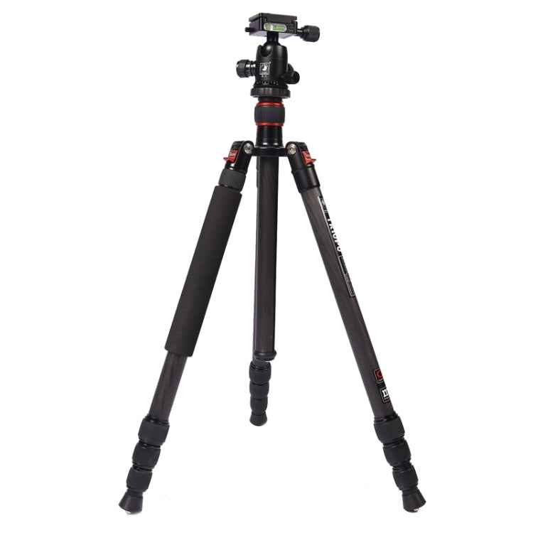 Triopo GT-2504X8.C Adjustable Portable Carbon Fiber Tripod with B-1 Aluminum Ball Head for Canon Nikon Sony DSLR Camera