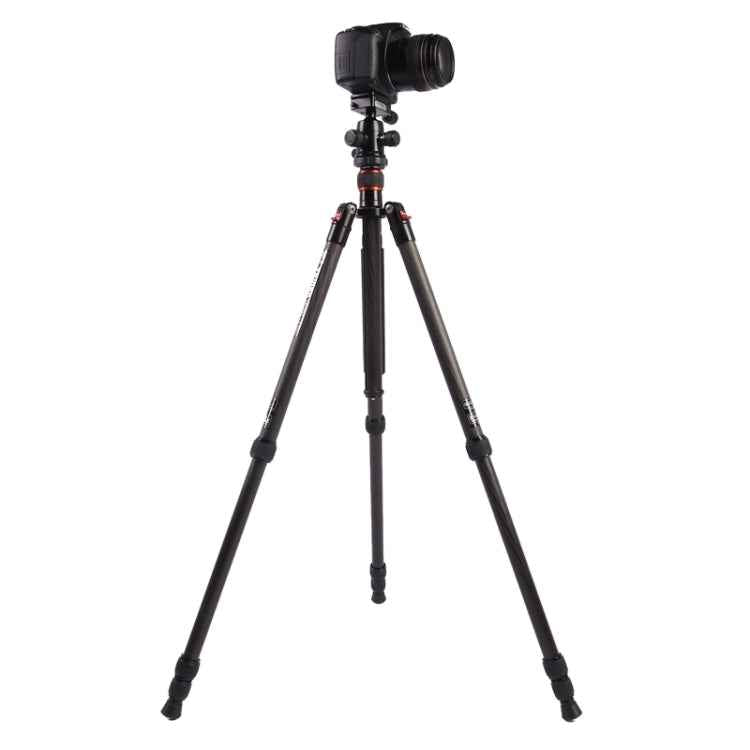 Triopo GT-2504X8.C Adjustable Portable Carbon Fiber Tripod with B-1 Aluminum Ball Head for Canon Nikon Sony DSLR Camera
