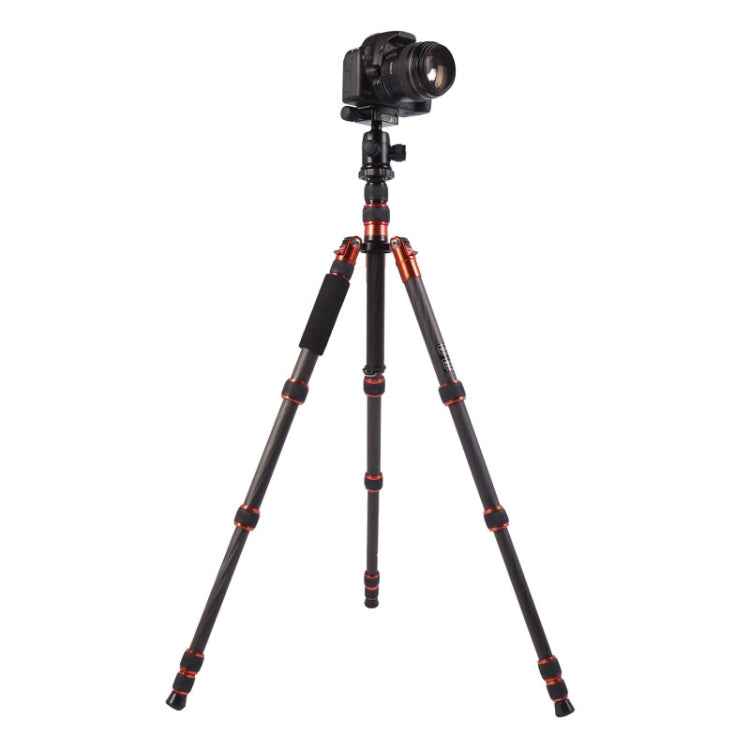 Triopo GT-2505x8.C Adjustable Portable Carbon Fiber Tripod with B-1 Aluminum Ball Head for Canon Nikon Sony DSLR Camera