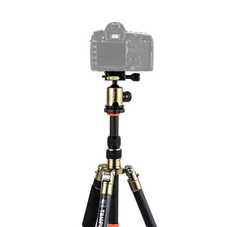 Triopo GT-2505x8.C Adjustable Portable Carbon Fiber Tripod with B-1 Aluminum Ball Head for Canon Nikon Sony DSLR Camera