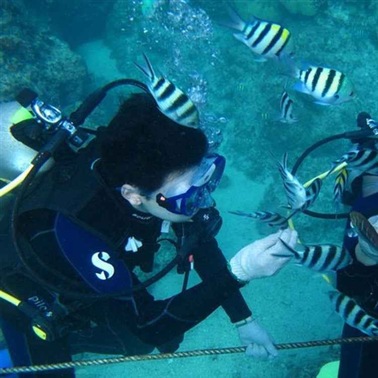 Water Sports Diving Equipment Diving Mask Swimming Glasses for GoPro, Insta360, DJI and Other Action Cameras