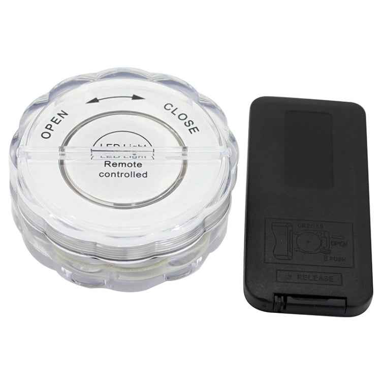 10-LED with Remote Control