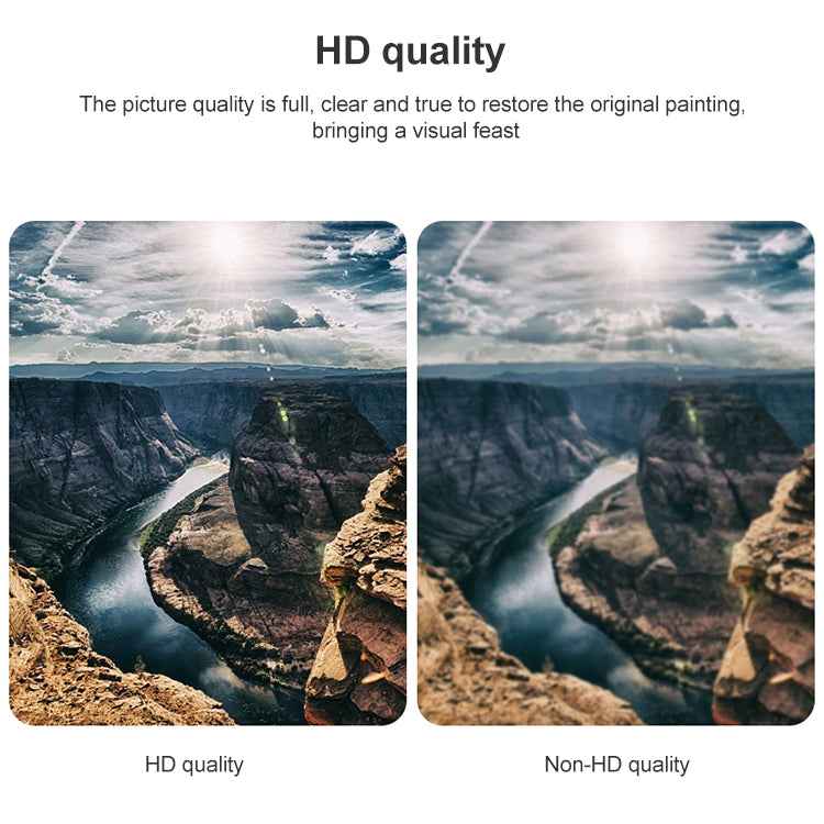 DisplayPort Male to HDMI Female Video Adapter