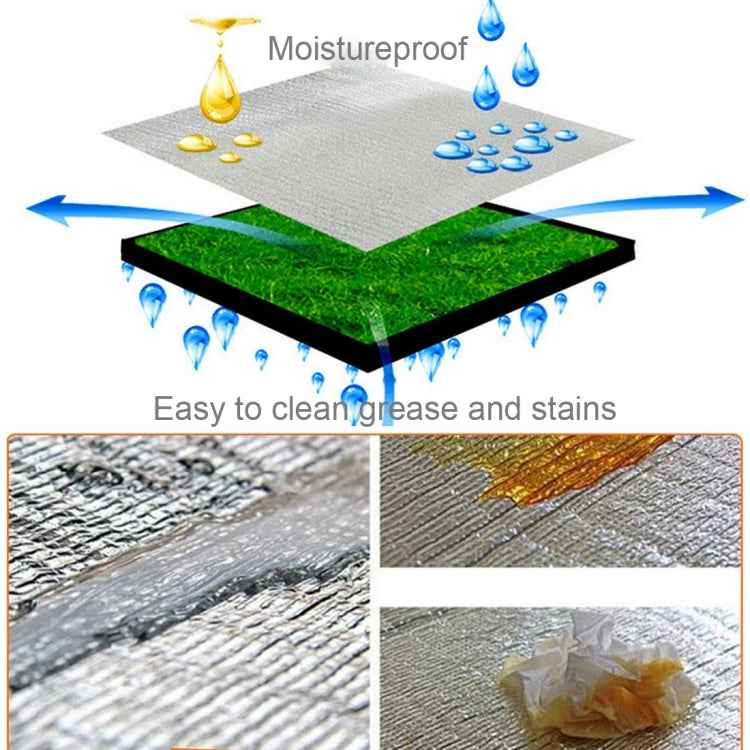 7mm Thickening of Double Aluminum Moisture Pad / Camping Sleeping Pad, Size: 200cm x 200cm