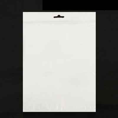 10.5 inch Zip Lock Anti-Static Bag, Size: 27 x 18cm (100pcs in one package, the price is for 100pcs)