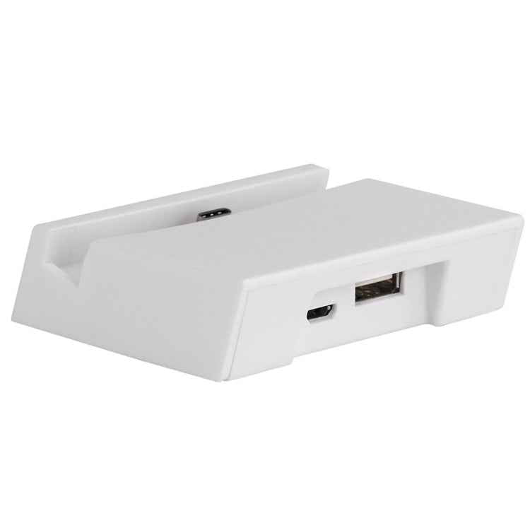 2 in 1 USB-C / Type-C 3.1 Sync Data / Charging Dock Charger