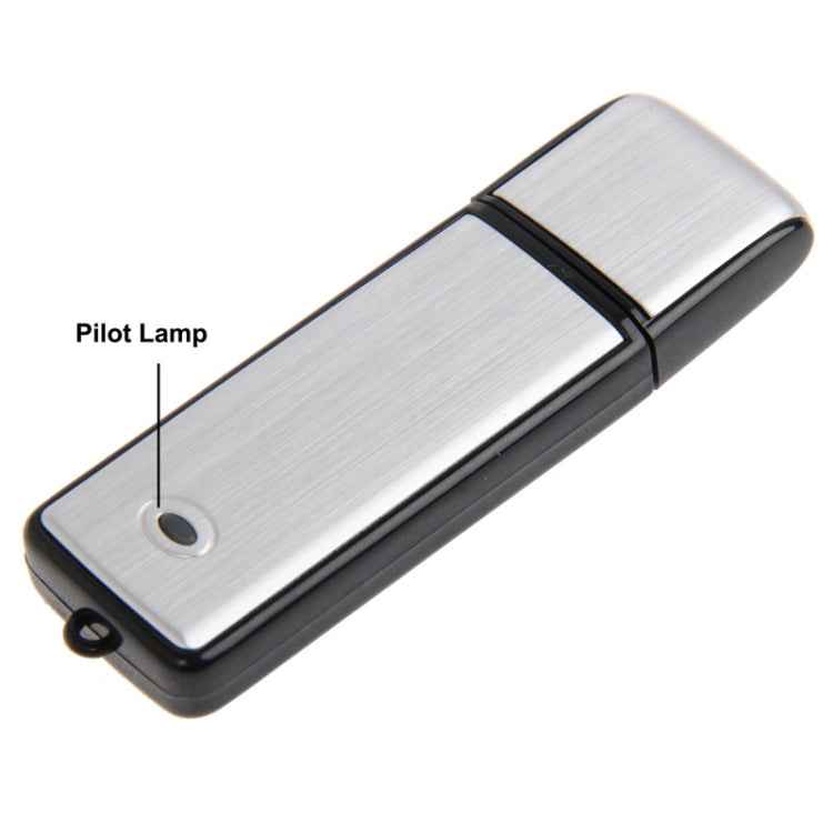 USB Voice Recorder + 8GB USB Flash Disk