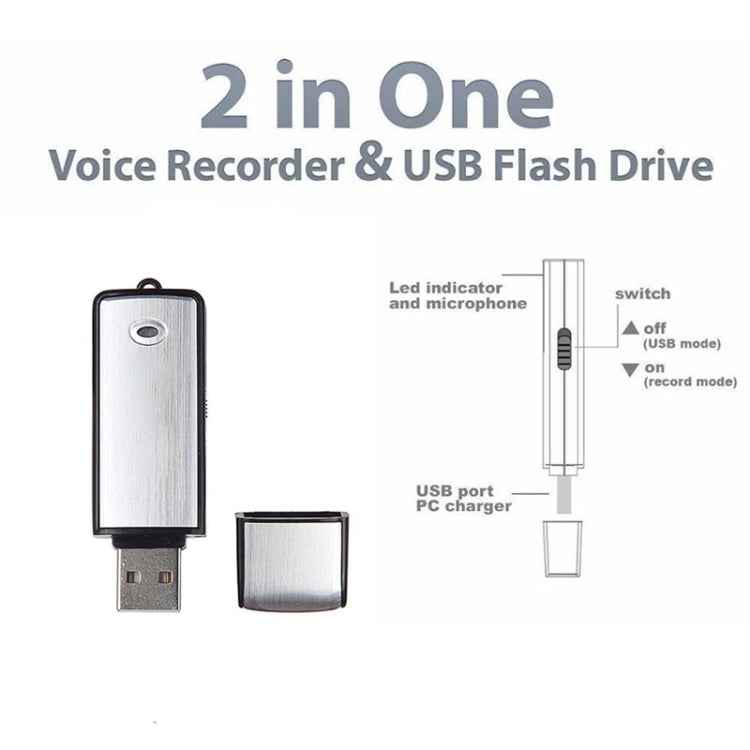 USB Voice Recorder + 8GB USB Flash Disk