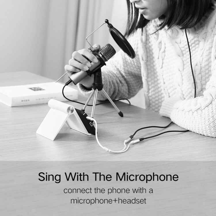 HY191 2 in 1 3.5mm Male to Microphone + Audio Female Braided Audio Cable, Length: 26cm