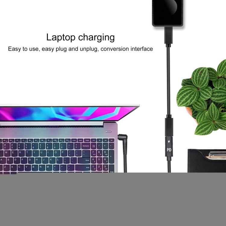 DP 5.0 x 1.0mm to Type-C Female Power Adapter Charger Cable