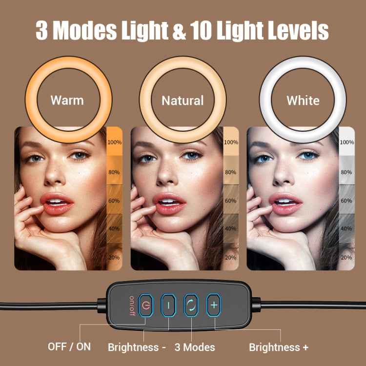 Apexel FL20 10 Inch LED Ring Light Foldable Metal Swing Arm Desk Lamp with Stand & Phone Holder