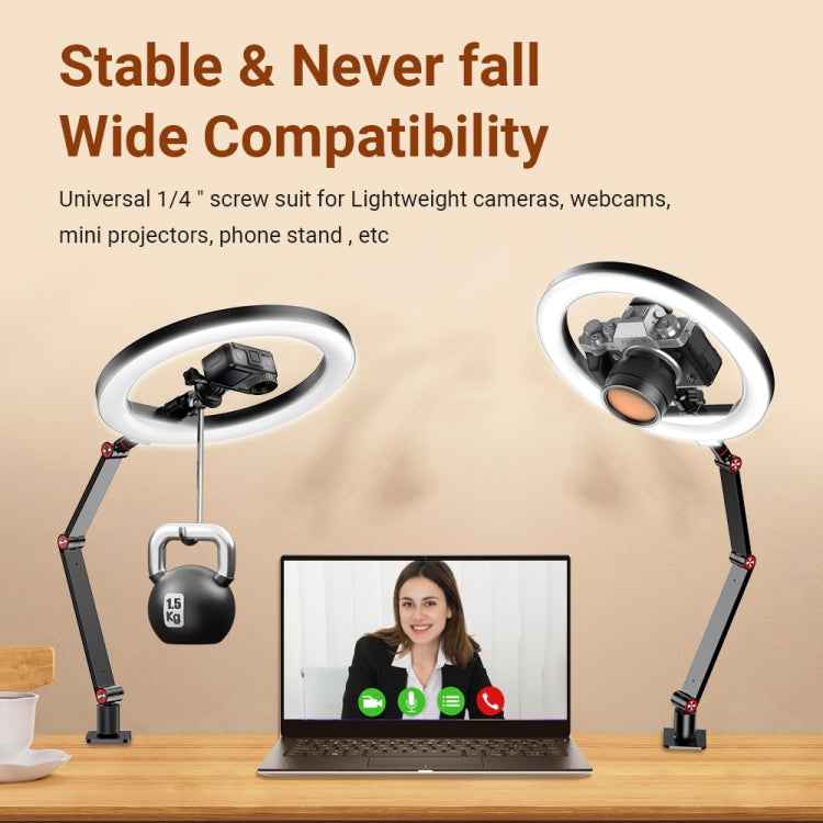 Apexel FL20 10 Inch LED Ring Light Foldable Metal Swing Arm Desk Lamp with Stand & Phone Holder
