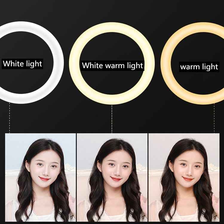 HQ-21N 21 inch 52.5cm LED Ring Vlogging Photography Video Lights Kits with Remote Control & Phone Clamp & 2.1m Tripod Mount, EU Plug