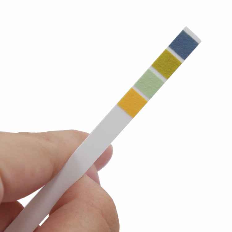 100 Strips/box pH Test Strips 0-14 Scale Premium Litmus Tester Paper Ideal for Test pH Level of Water