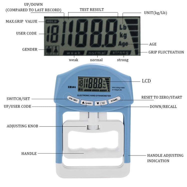 EH101 Electronic Arm Strength Dynamometer Suitable for Sports Training, EH101 Arm Strength Dynamometer