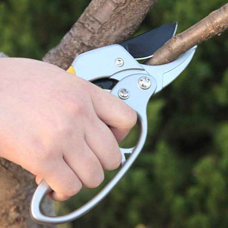 Labor-saving Hand Garden Gardening Shears Beak Manual Branch Pruning Shears
