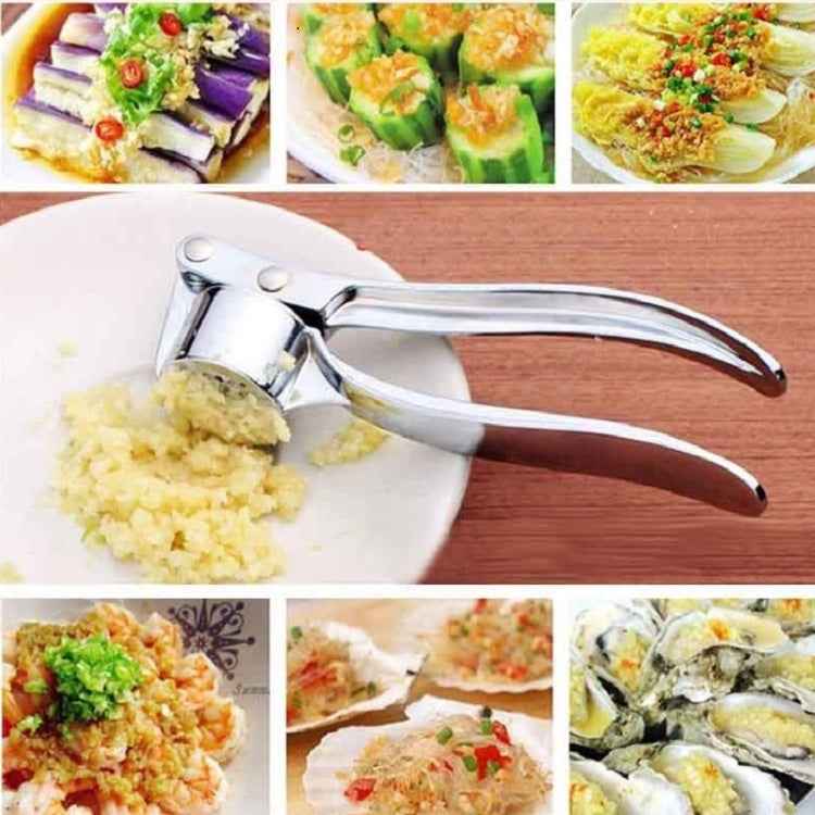 Kitchen Handheld Stainless Steel Ginger Garlic Crusher Garlic Puree Machine