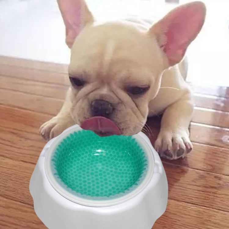 Pet Cooling Speed Cold Bowl Food Bowl, Speed Cold Bowl
