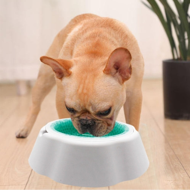 Pet Cooling Speed Cold Bowl Food Bowl