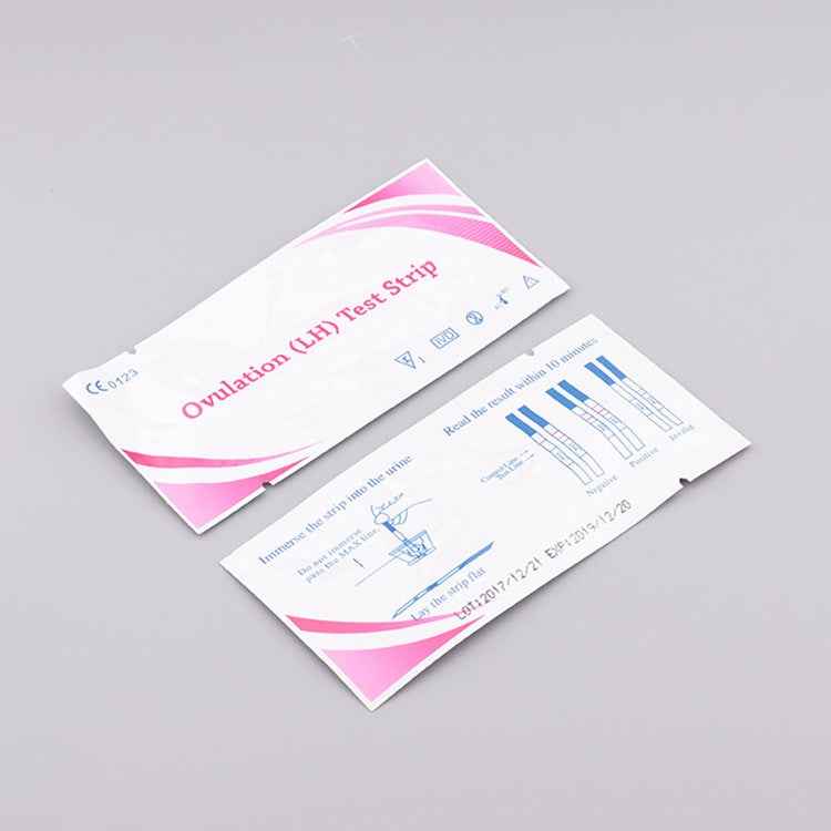 10 PCS Early Pregnancy Ovulation Test Strips