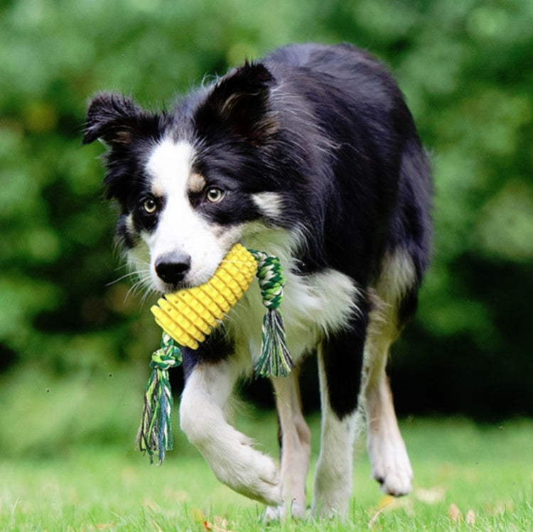 Dog Teething Stick Pet Chewing Toy