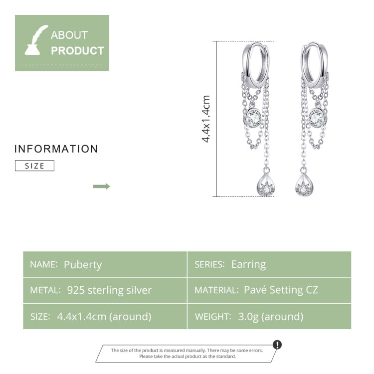 Sterling Silver Earrings Zircon Tassel Long Earrings S925 Girl Earrings jewelry