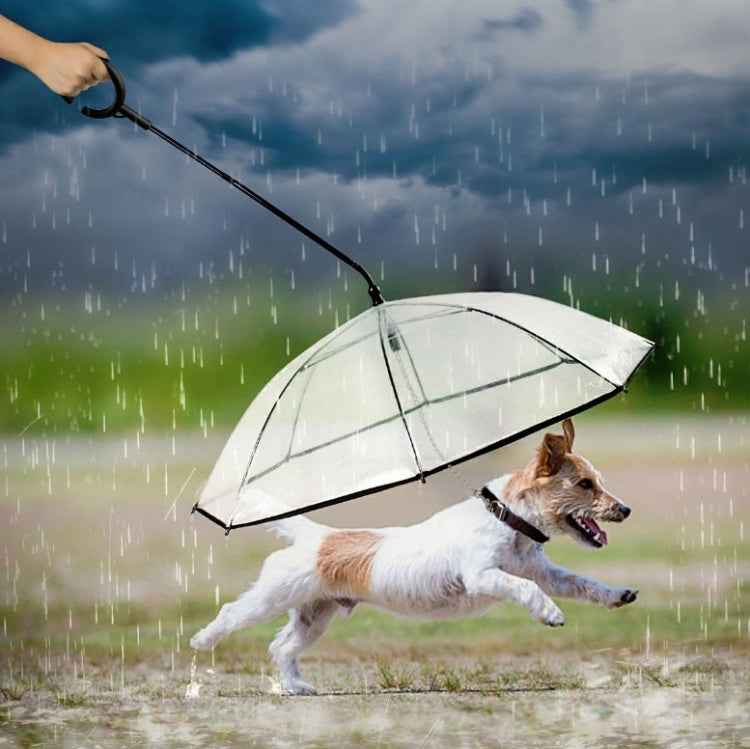 Pet Umbrella Transparent Adjustable Rainy Dog ?Walking Leash