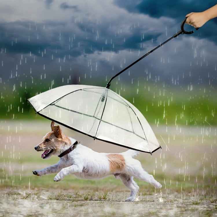 Pet Umbrella Transparent Adjustable Rainy Dog ?Walking Leash