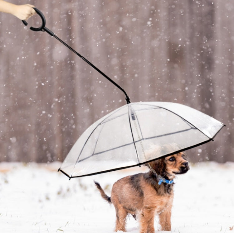 Pet Umbrella Transparent Adjustable Rainy Dog ?Walking Leash