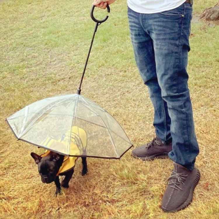 Pet Umbrella Transparent Adjustable Rainy Dog ?Walking Leash