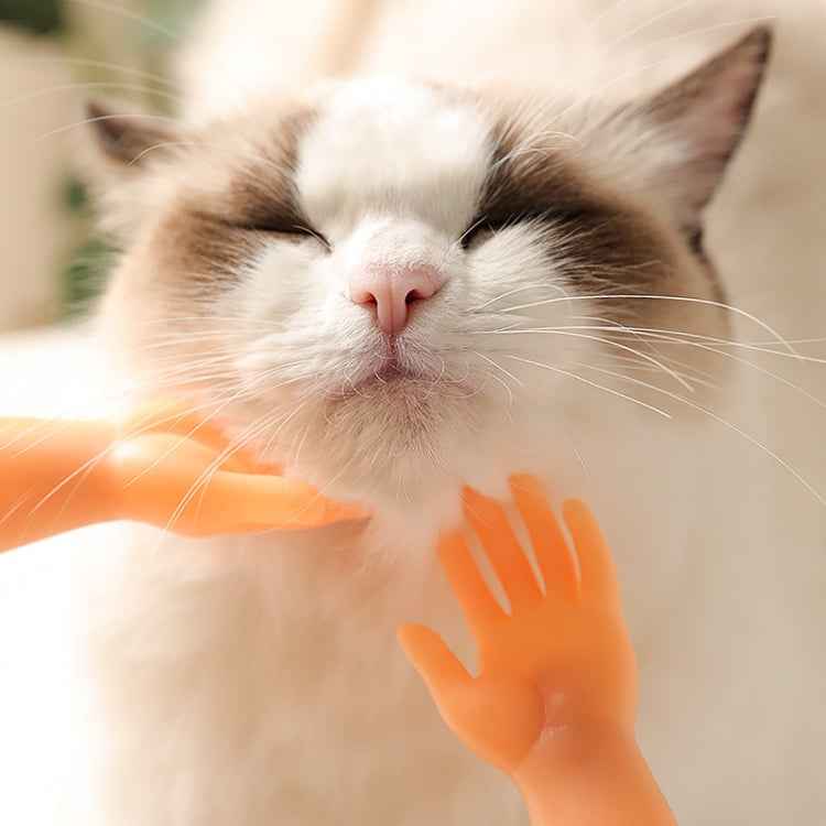 Pet Massage Finger Cots and Cat Gloves