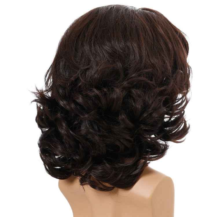 Men Wigs Oblique Bangs Fluffy Short Curly Hair