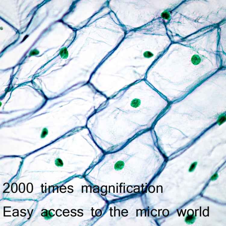 2000X WIFI High Magnification Biological Microscope USB HD Digital Magnifying Glass