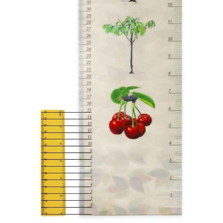 Removable Wall-mounted Height Ruler With Botanical Print Decoration