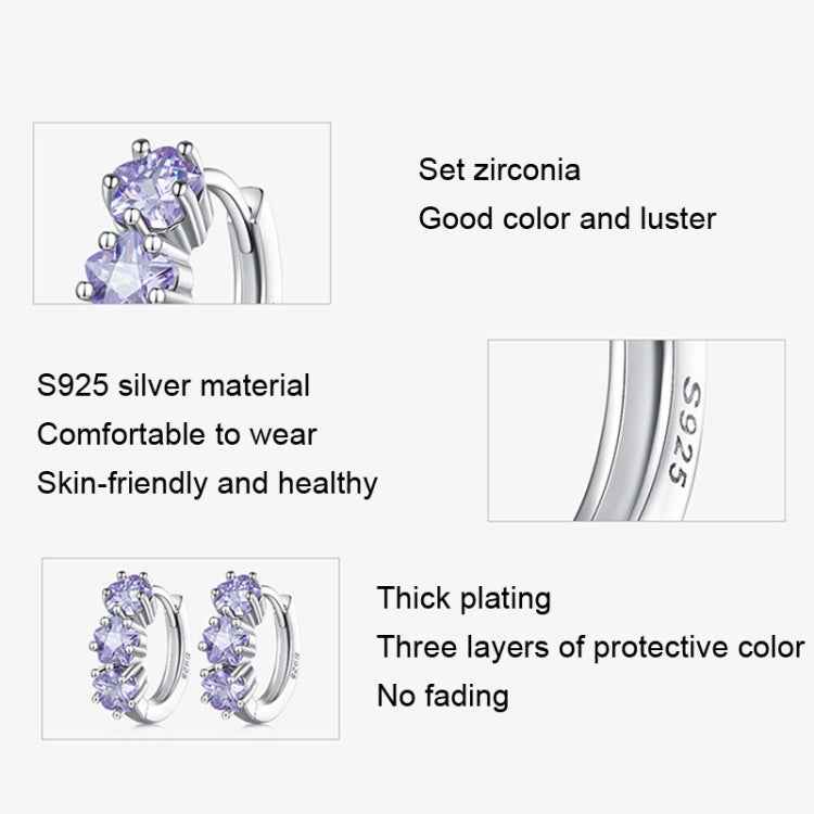 SCE1533 Purple Flower Vermiculite Ear Buckle 925 Silver Earrings