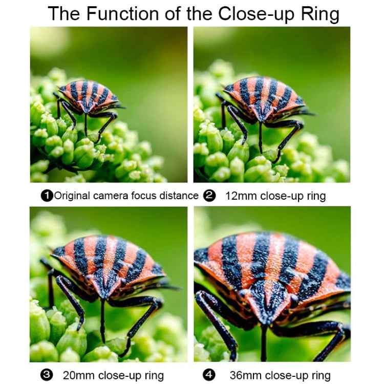 For Canon EOS Series VILTROX DG-C Camera Automatic Close-up Ring Macro Mount