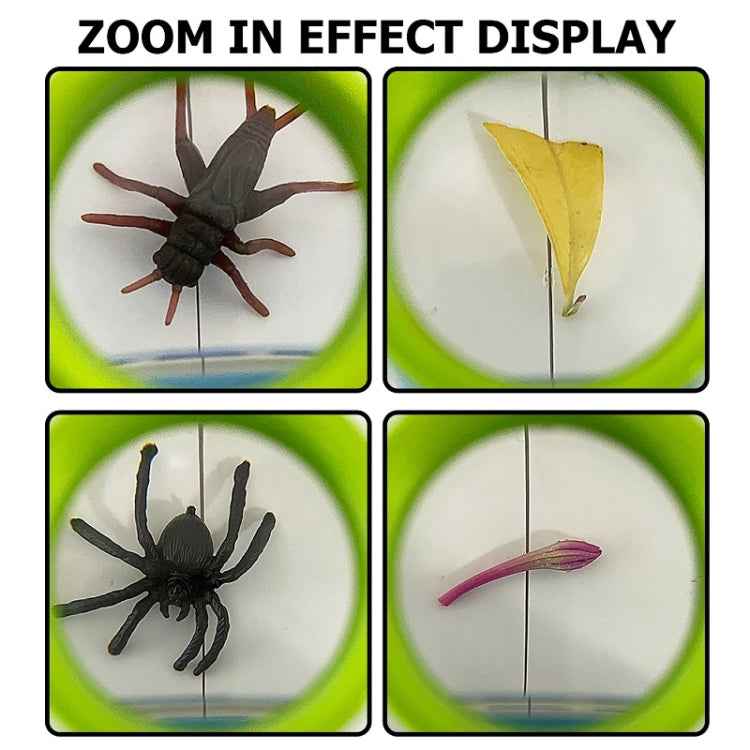 Children Animal Plant Observer Scientific Experiment Magnifying Glass