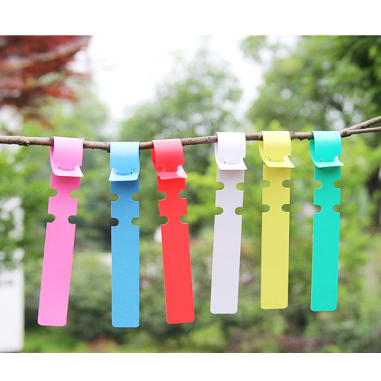 100 PCS Gardening Plant Sapling Seed Hanging Tree Label, Plant Label 5 White, Plant Label 5 Pink, Plant Label 5 Yellow, Plant Label 5 Green, Plant Label 5 Blue, Plant Label 5 Red