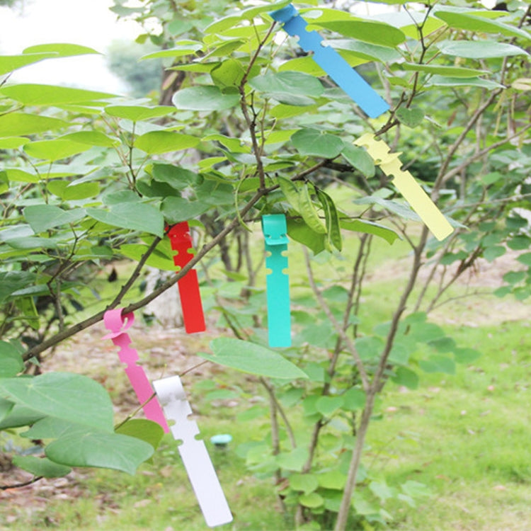 100 PCS Gardening Plant Sapling Seed Hanging Tree Label, Plant Label 5 White, Plant Label 5 Pink, Plant Label 5 Yellow, Plant Label 5 Green, Plant Label 5 Blue, Plant Label 5 Red