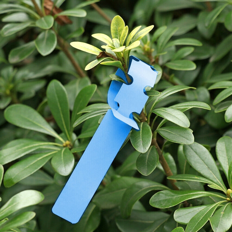 100 PCS Gardening Plant Sapling Seed Hanging Tree Label, Plant Label 5 Yellow, Plant Label 5 Green, Plant Label 5 Blue, Plant Label 5 Red, Plant Label 5 White, Plant Label 5 Pink