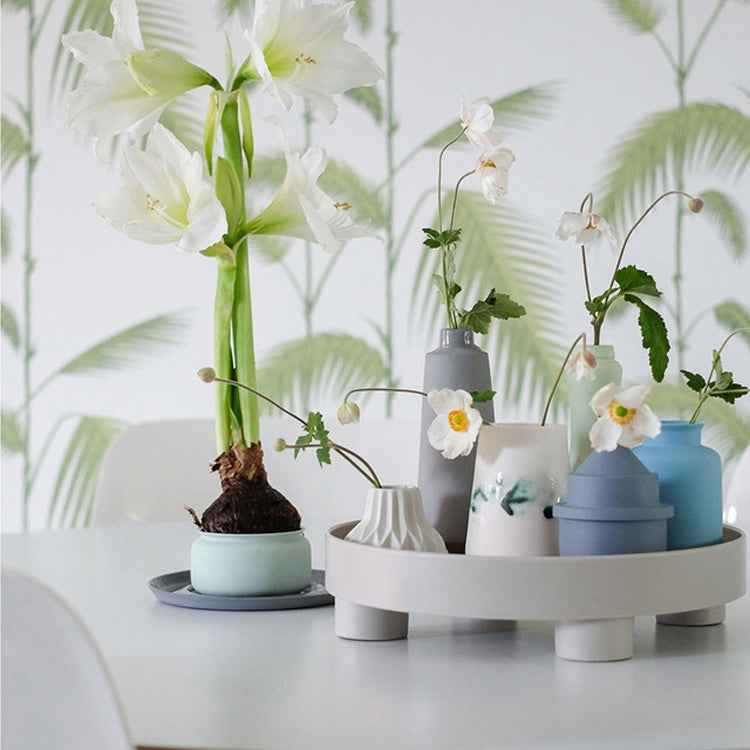 Multifunctional Storage Fruit Tay Cup Perfume Debris Desktop Decoration Plate Tray