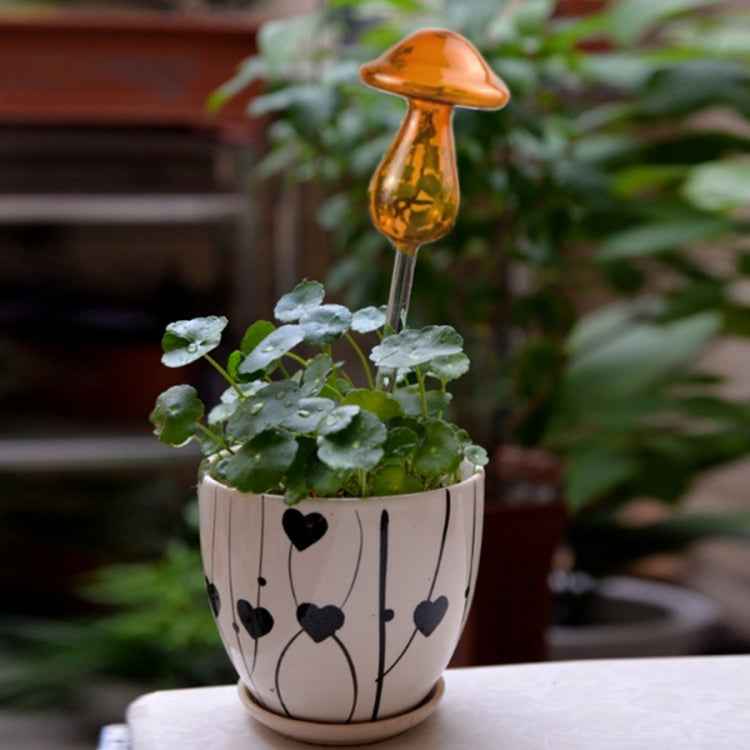 Mushroom Shape House Plants Flowers Water Feeder Automatic Self Watering Clear Glass Devices