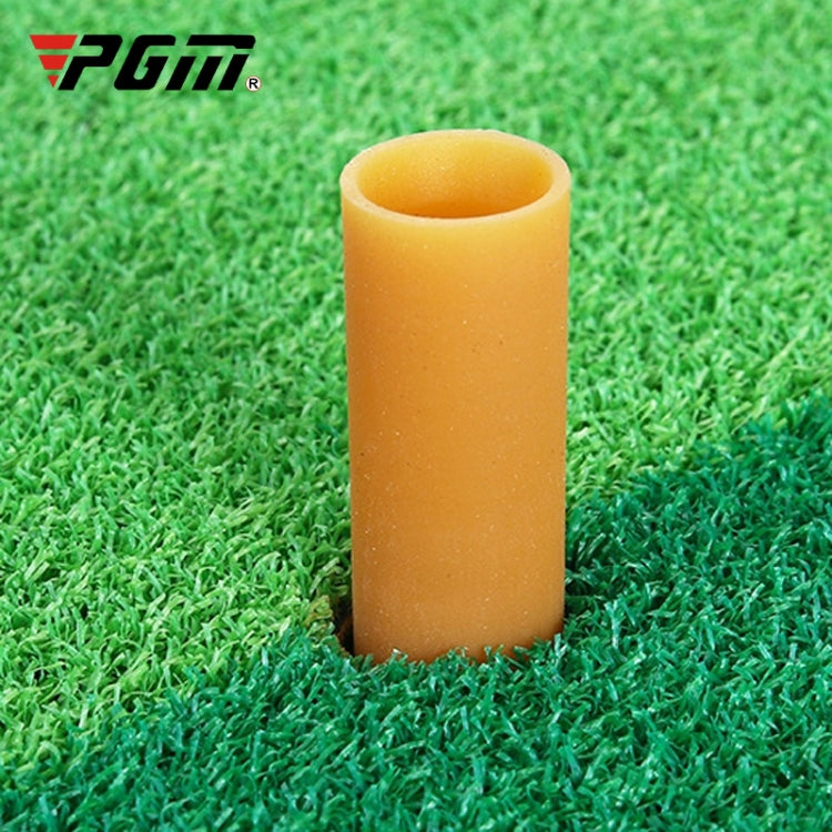PGM Indoor Swing Practice Mat Golf Mats Mini Golf Supplies 50x80cm Normal Edition + TEE, 50x80cm+TEE