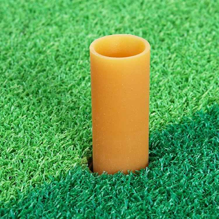 PGM Indoor Swing Practice Mat Golf Mats Mini Golf Supplies, 30 x 60cm Normal Edition + TEE